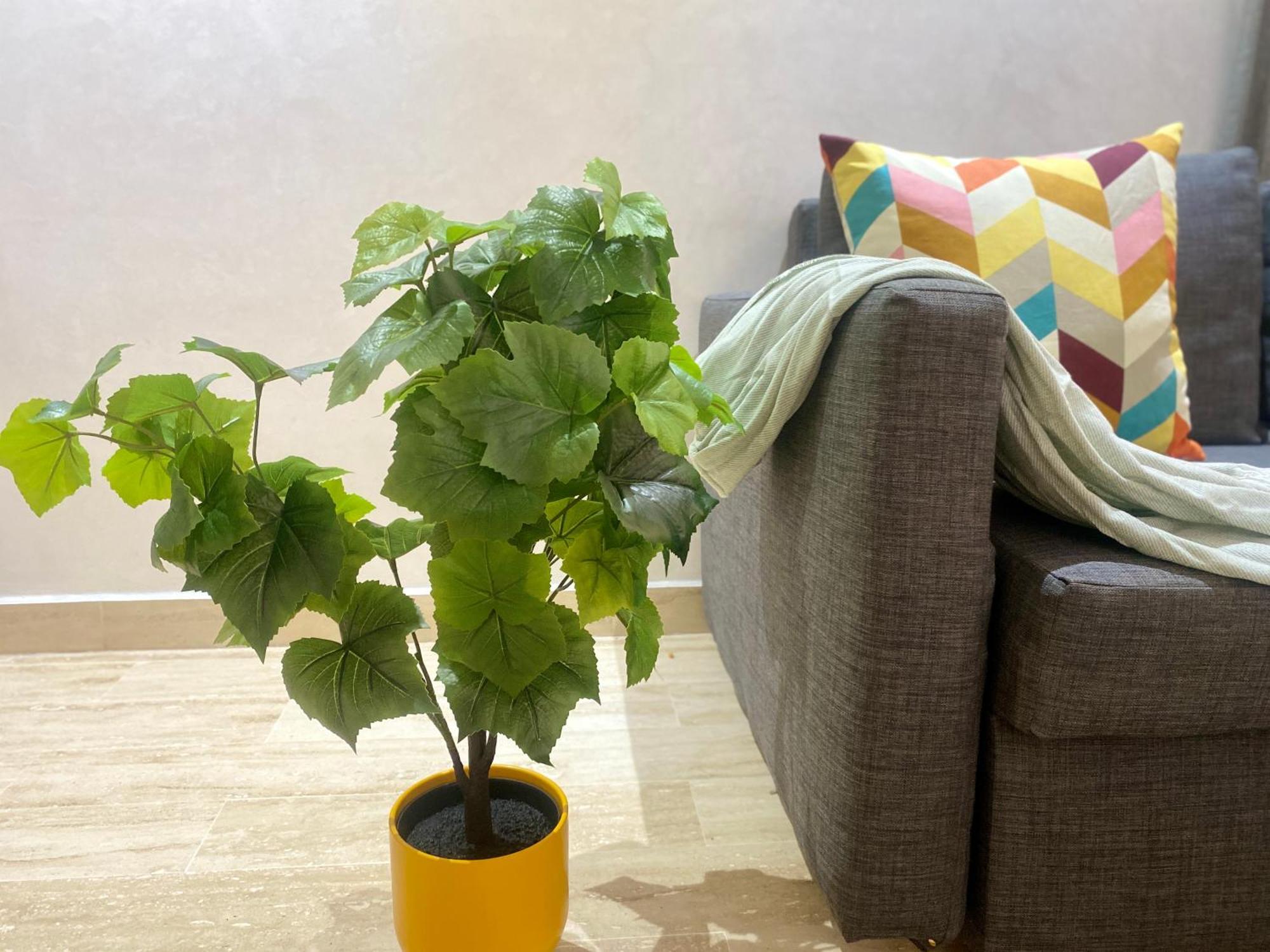 Superbe Appartement Tres Bien Situe Welcome Stay Kazablanka Dış mekan fotoğraf
